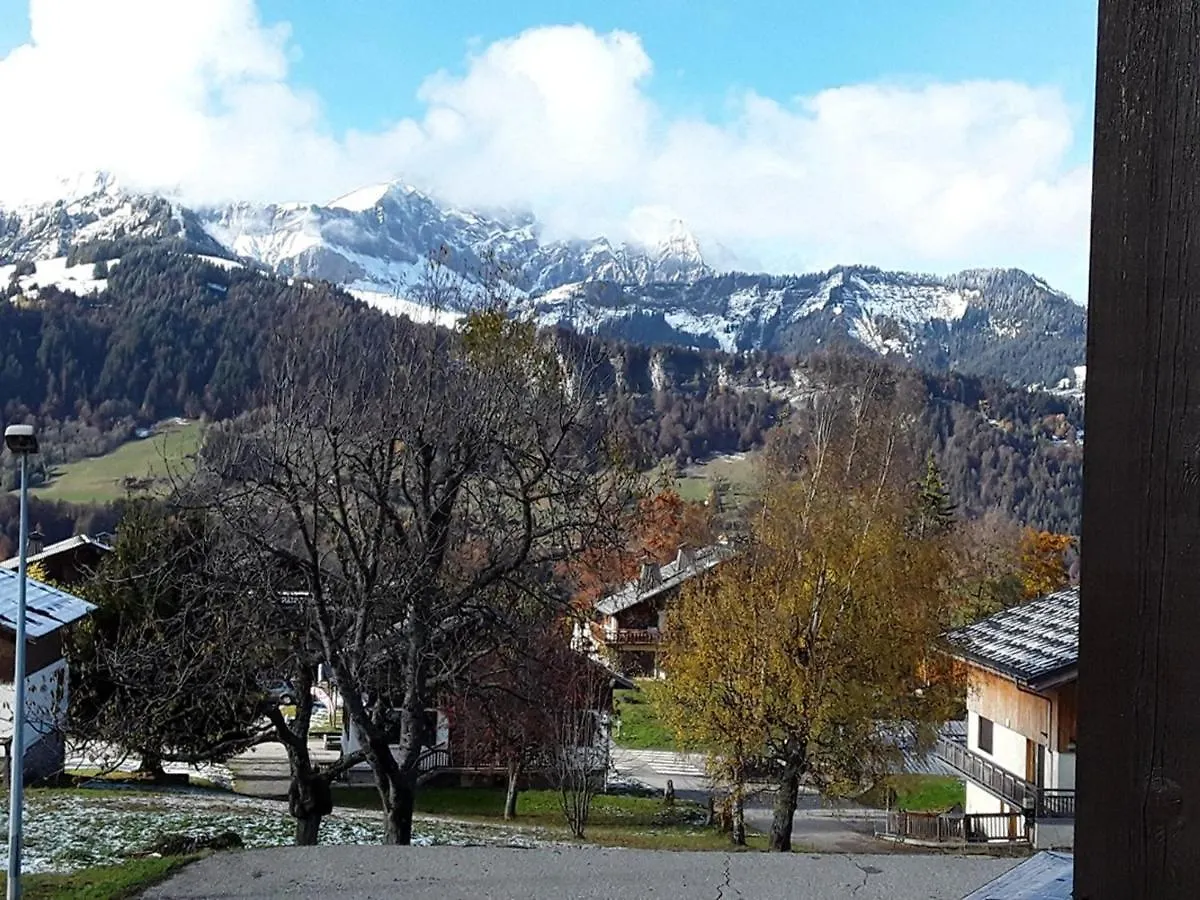 Studio Cabine 4 Pers, Centre Village, Proche Pistes, Parking, Casier A Skis - Fr-1-733-38 Crest-Voland 0*,  France